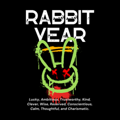 Rabbit Year Hoodie